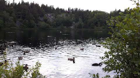 Lac des canards